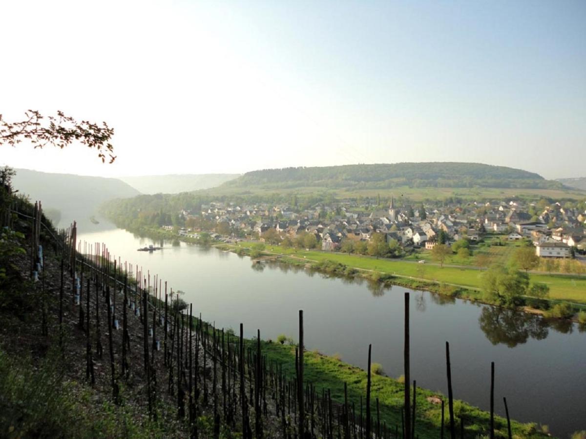 Wein & Wohngut Paulushof Otel Pünderich Dış mekan fotoğraf